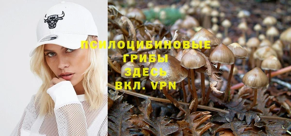 мет Белокуриха