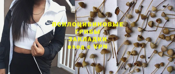 мет Белокуриха